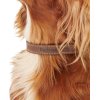 Barbour Leather Dog Collar Brown