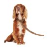 Barbour Leather Dog Lead Brown