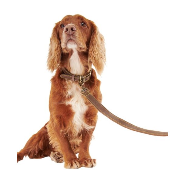 Barbour Leather Dog Lead Brown