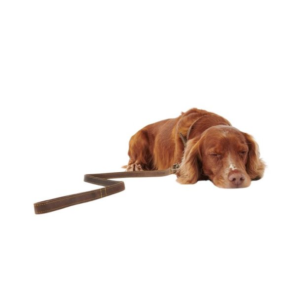 Barbour Leather Dog Lead Brown