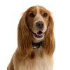 Barbour Tartan Printed Dog Collar Classic Tartan