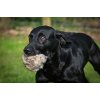 BG Scent Rabbit Ball 225g