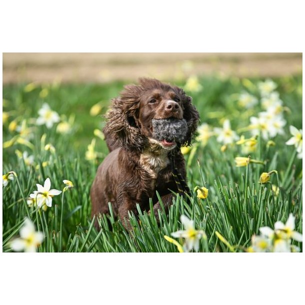BG Scent Rabbit Ball 225g