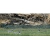 Camoflagenet 6x2,4m Grn/Brun Ultra-Lite