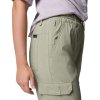 Columbia Skien Valley Cargo Regular Pant W Safari