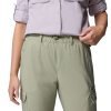 Columbia Skien Valley Cargo Regular Pant W Safari
