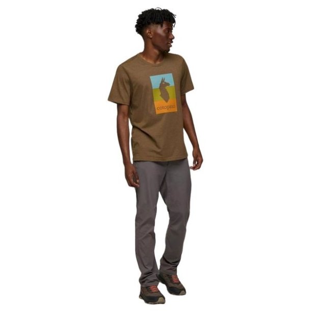 Cotopaxi Llama Block T-Shirt Live Oak