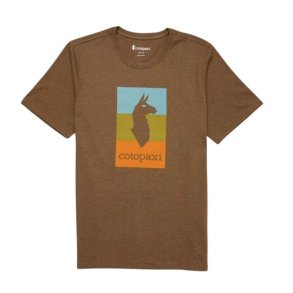 Cotopaxi Llama Block T-Shirt Live Oak
