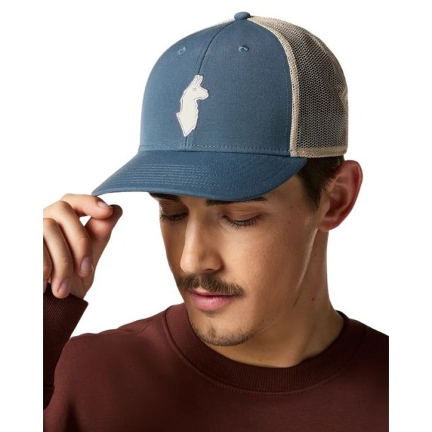 Cotopaxi Llama Trucker Hat Slate