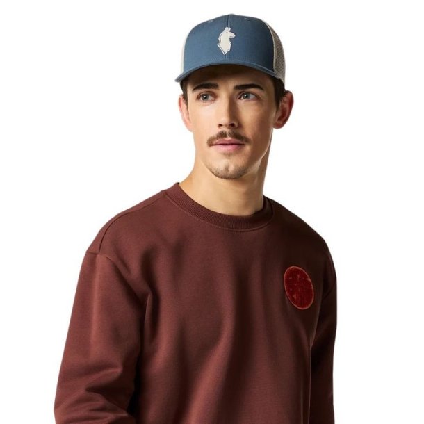 Cotopaxi Llama Trucker Hat Slate