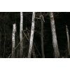 Deerhunter Eagle Winter Kedeldragt Tarmac Green