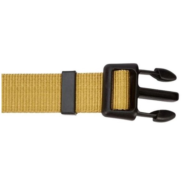 Dubarry Apollo Dog Collar Gold