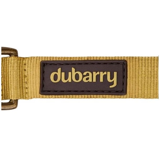Dubarry Apollo Dog Collar Gold