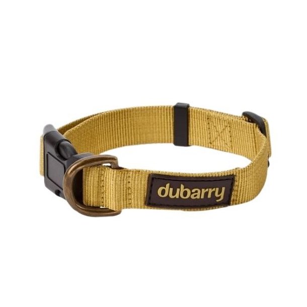 Dubarry Apollo Dog Collar Gold