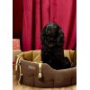 Dubarry Buster Tweed Dog Bed Mocha