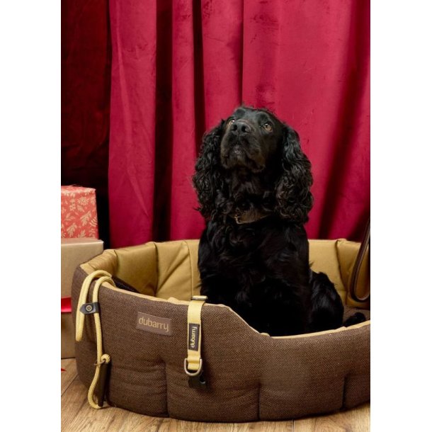 Dubarry Buster Tweed Dog Bed Mocha