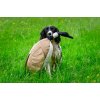 Dummy Dead Goose Canvas