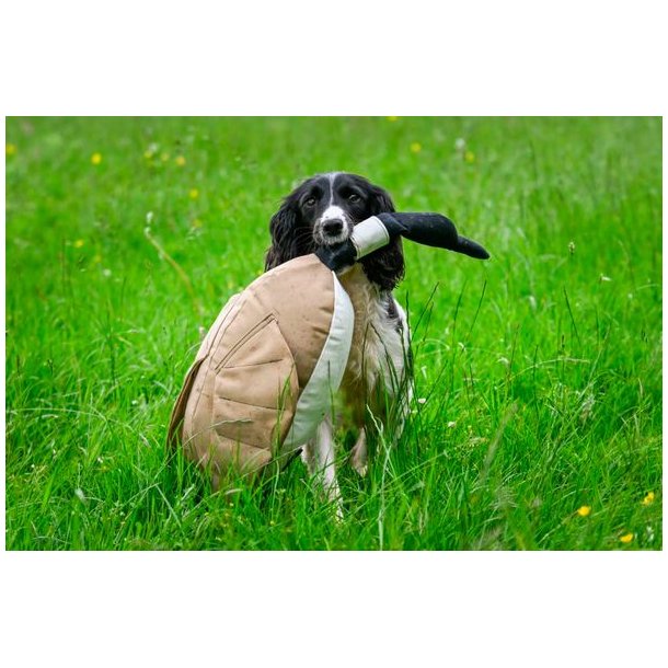 Dummy Dead Goose Canvas