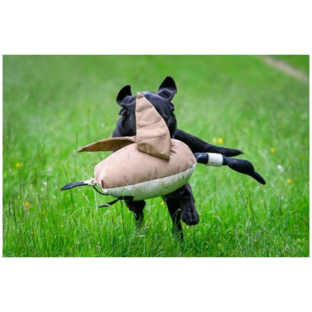 Dummy Dead Goose Canvas