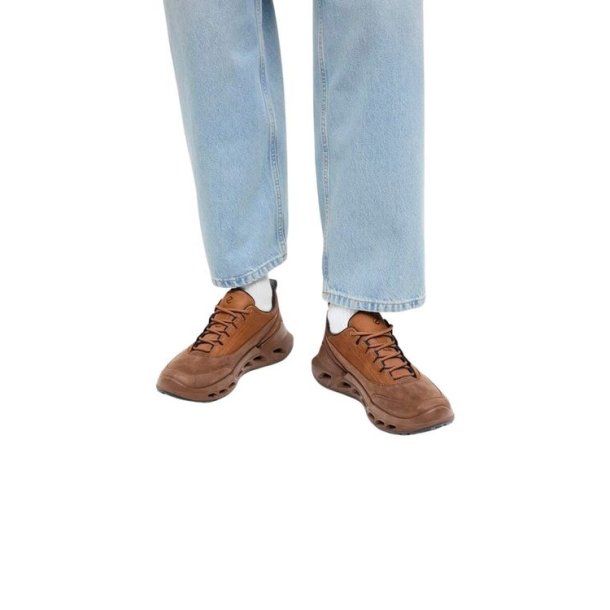 ECCO Biom 720 GTX Sko Brown