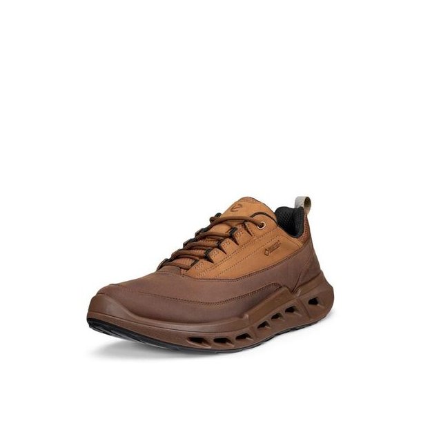 ECCO Biom 720 GTX Sko Brown
