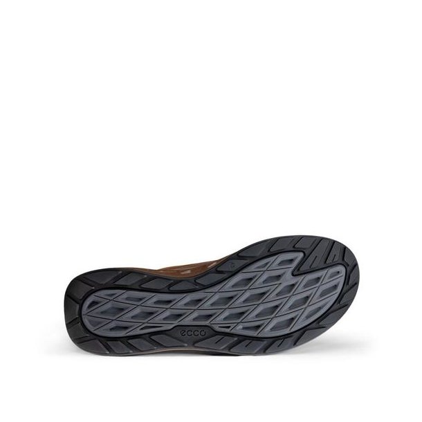 ECCO Biom 720 GTX Sko Brown