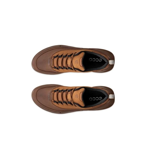 ECCO Biom 720 GTX Sko Brown