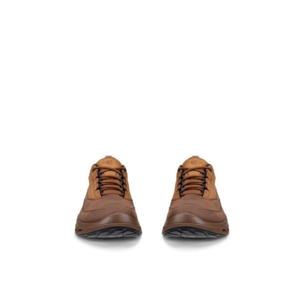 ECCO Biom 720 GTX Sko Brown