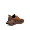 ECCO Biom 720 GTX Sko Brown