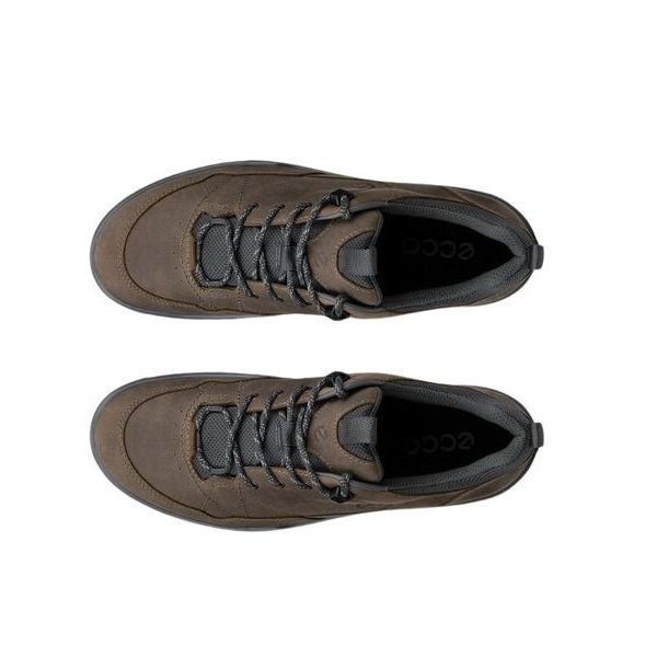 ECCO Receptor Trekk WP Sko Nutmeg Brown