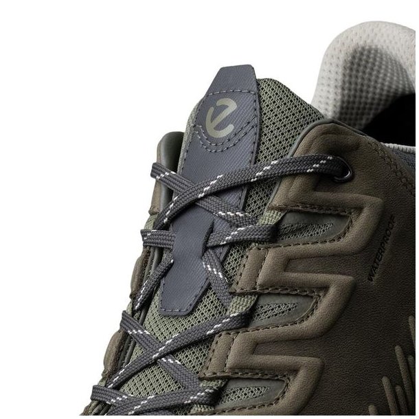 ECCO Receptor XP WP Sko Magnet/Smokey Olive