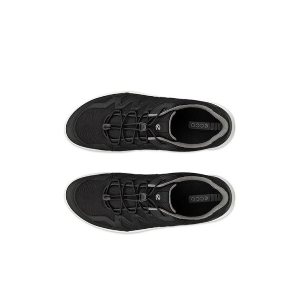 ECCO Terracruise LT Sko Black