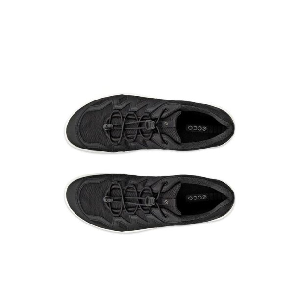 ECCO Terracruise LT W Sko Black