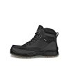 ECCO Track 25 GTX St�vle Black