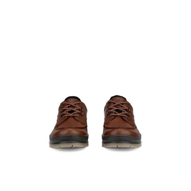 ECCO Track 25 Low GTX Bison/Bison