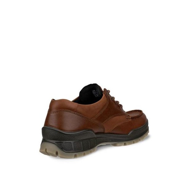 ECCO Track 25 Low GTX Bison/Bison