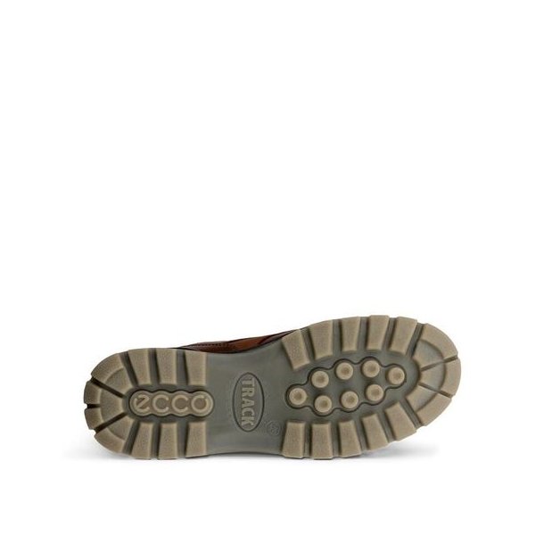 ECCO Track 25 Low GTX Bison/Bison