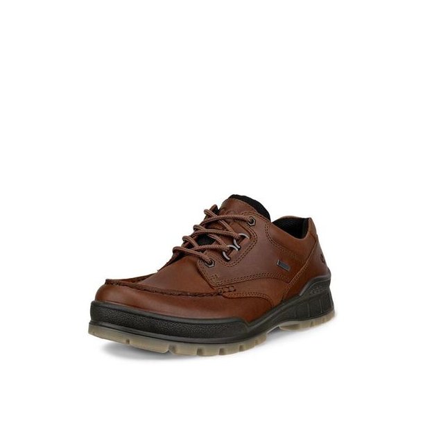ECCO Track 25 Low GTX Bison/Bison