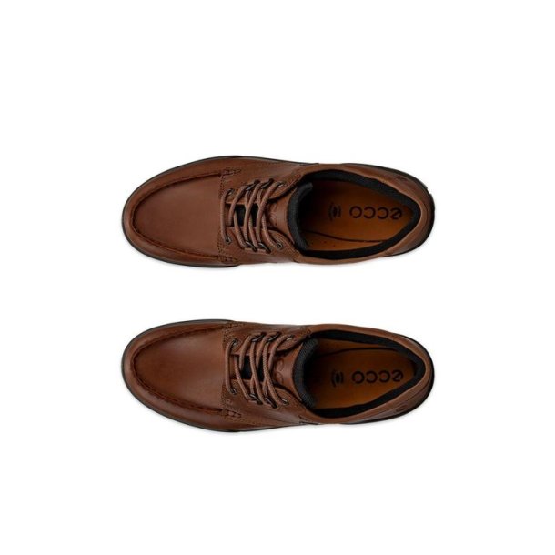 ECCO Track 25 Low GTX Bison/Bison