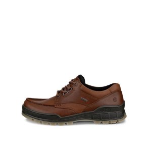 ECCO Track 25 Low GTX Bison/Bison