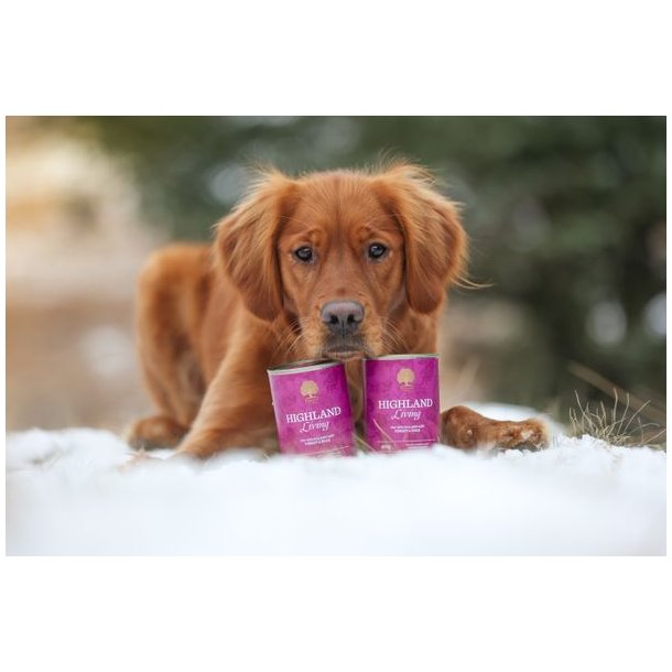 Essential Highland Living Pat� 400g