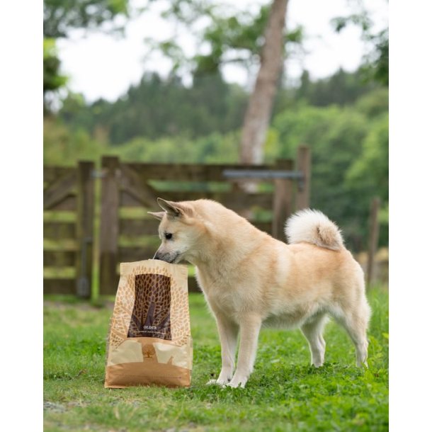 Essential Older 10kg