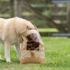Essential Older 10kg