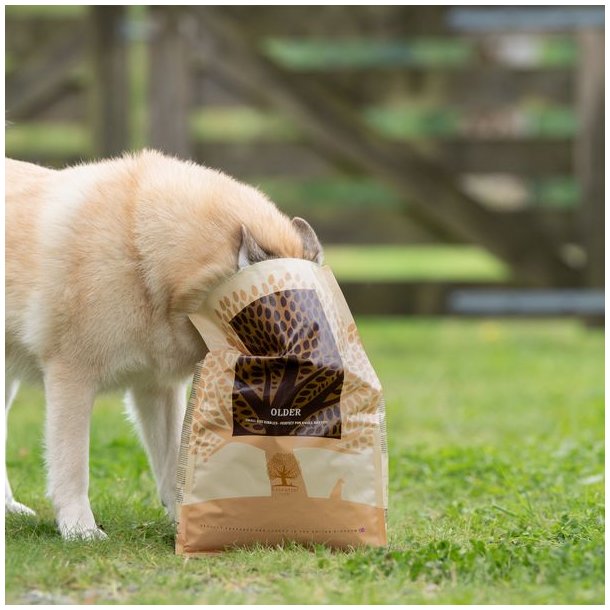 Essential Older 10kg