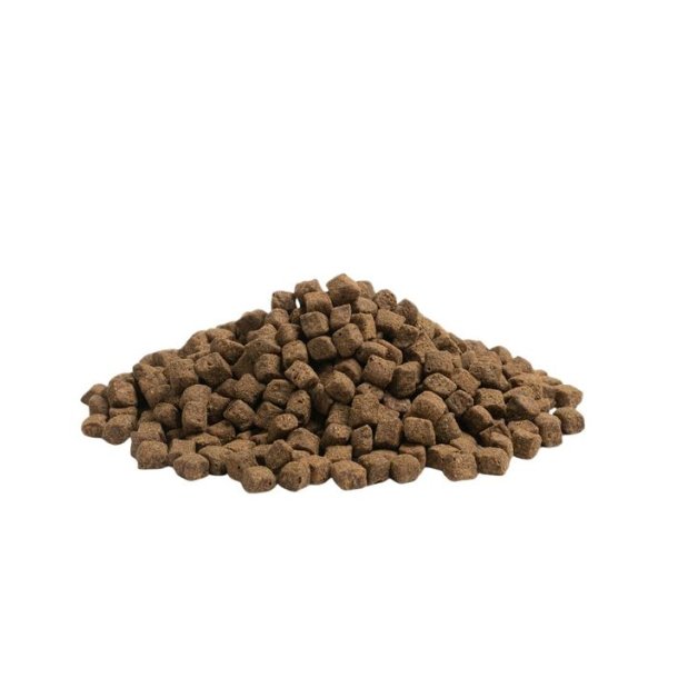 Essential Older 2,5kg
