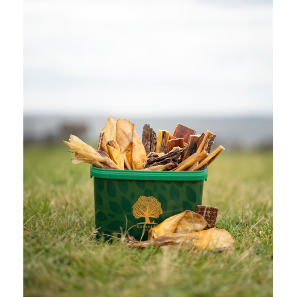 Essential Small Food Box 2,5kg