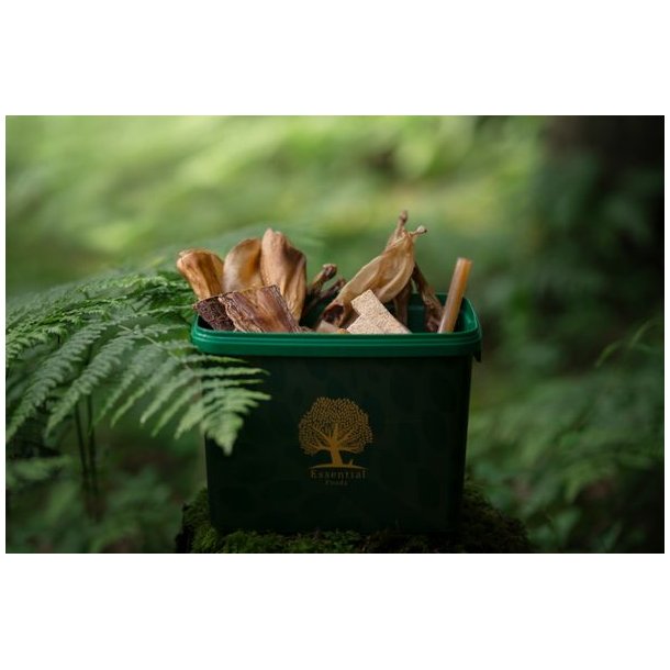 Essential Small Food Box 2,5kg
