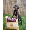 Essential The Beginning Large Breed 10kg