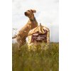 Essential The Beginning Large Breed 10kg