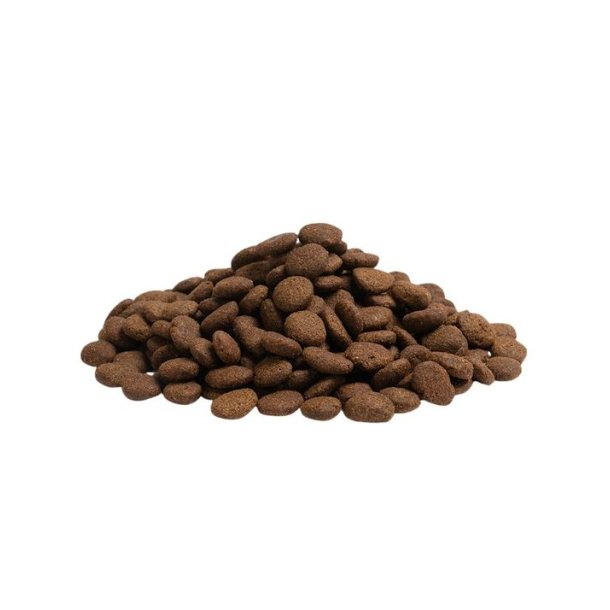Essential The Beginning Large Breed 10kg